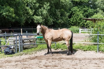 Bild 178 - Vivi